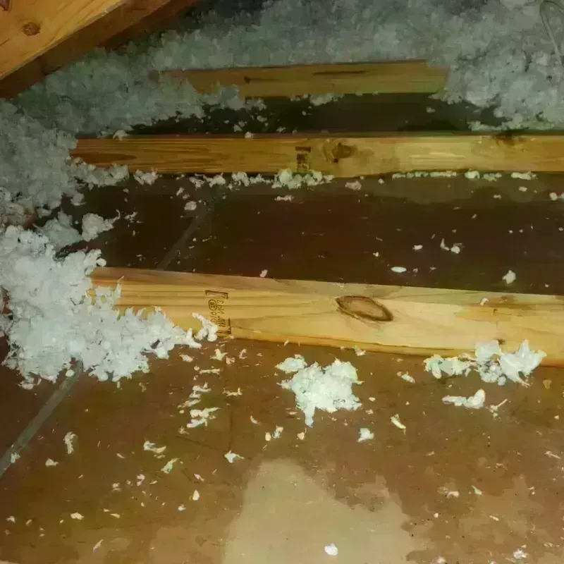 Attic Water Damage in Loudonville, OH